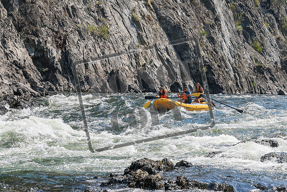 20260804-IMG_5579