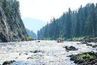 20260804-IMG_5453