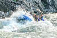 20260805-IMG_6456