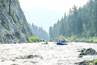 20260805-IMG_6444