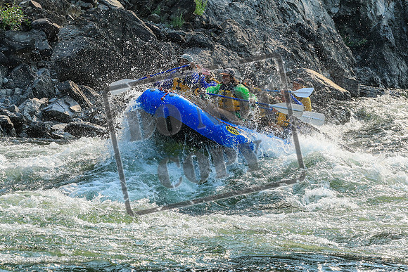 20260805-IMG_6499