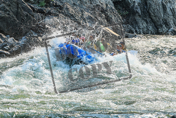 20260805-IMG_6498