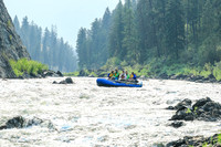 20260805-IMG_6689