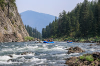 20260805-IMG_7329