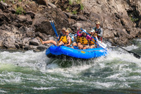 20260805-IMG_7383