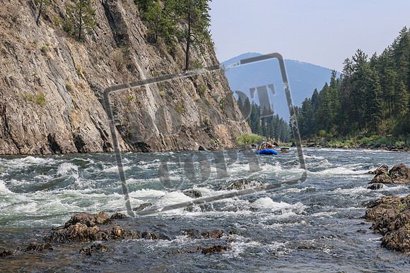 20260805-IMG_7367