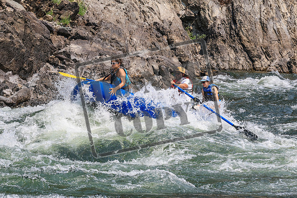 20260805-IMG_7261