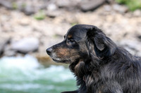 20260805-IMG_7627