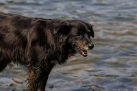 20260805-IMG_7042