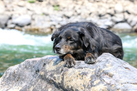 20260805-IMG_7639