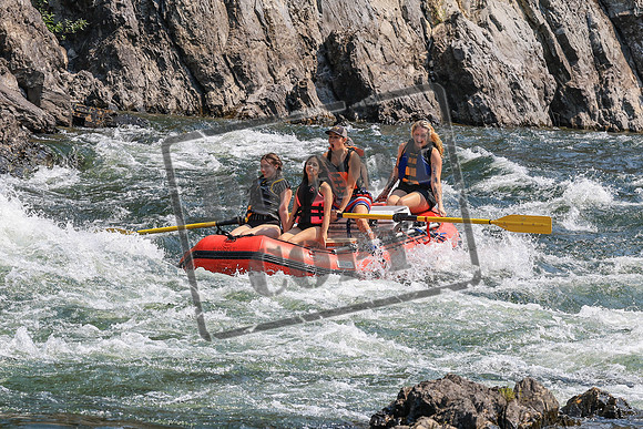 20260805-IMG_7147
