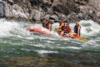 20260805-IMG_7154