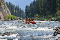 20260805-IMG_7139