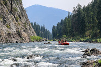 20260805-IMG_7138