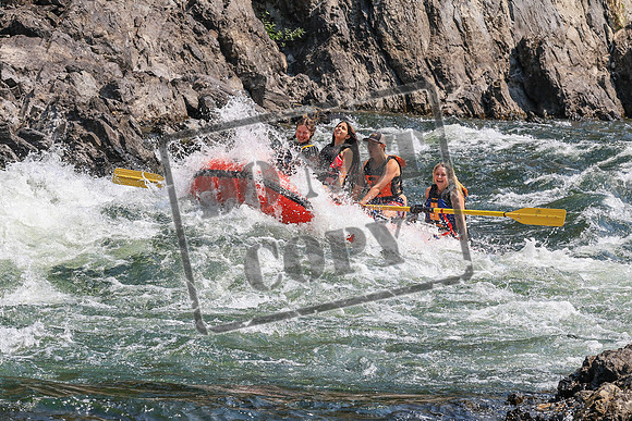20260805-IMG_7149