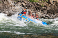 20260805-IMG_7498