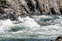 20260805-IMG_6982