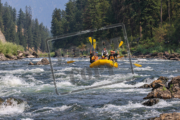 20260805-IMG_7847