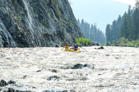 20260805-IMG_6575