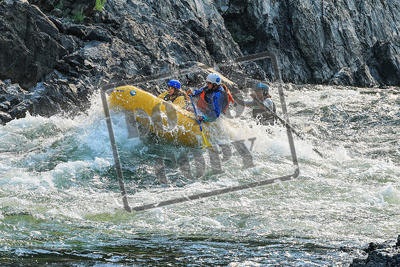 20260805-IMG_6582
