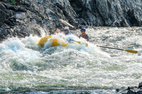 20260805-IMG_6619
