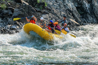 20260805-IMG_6653