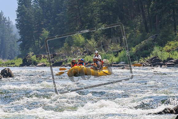 20260805-IMG_7047