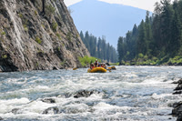 20260805-IMG_7050