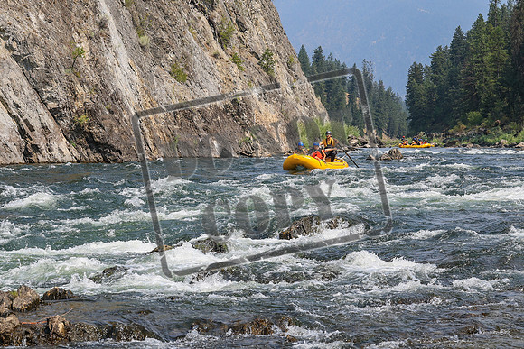 20260805-IMG_7690