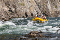 20260805-IMG_7744