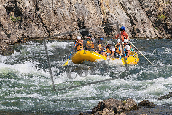 20260805-IMG_7745