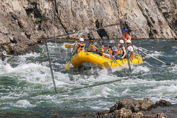 20260805-IMG_7746