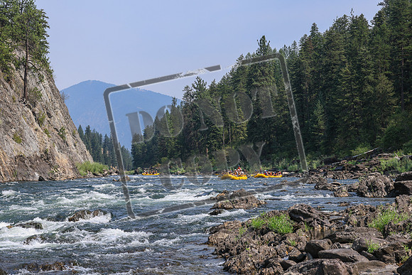 20260805-IMG_7728