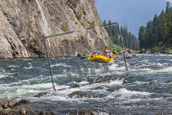20260805-IMG_7738