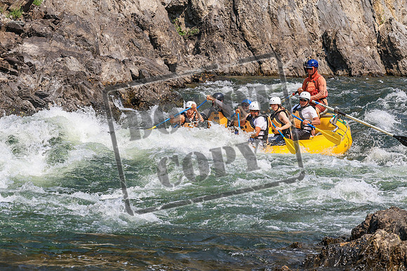 20260805-IMG_7748