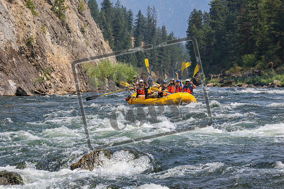 20260805-IMG_7769