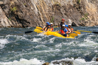 20260805-IMG_7777