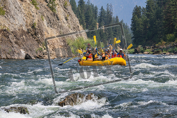 20260805-IMG_7771