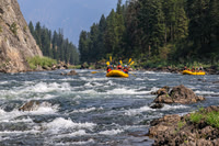 20260805-IMG_7811