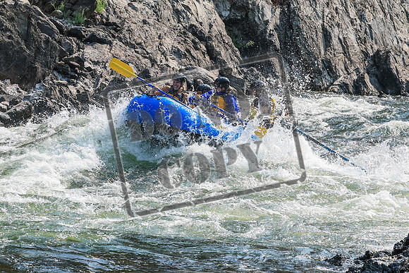 20260805-IMG_6749