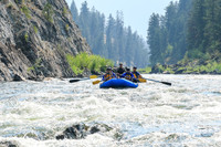 20260805-IMG_6737