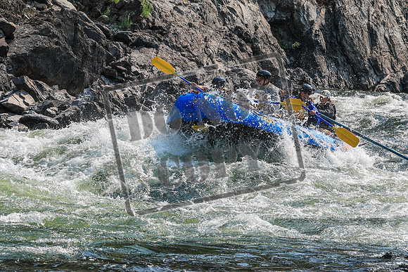 20260805-IMG_6806
