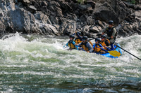 20260805-IMG_6850