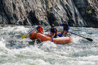 20260805-IMG_6868