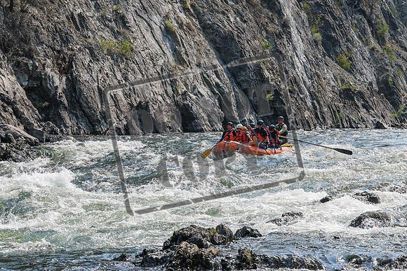 20260805-IMG_6882