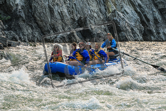 20260806-IMG_7921