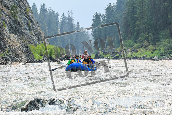 20260806-IMG_8309