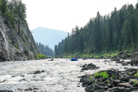 Raft 6