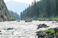 20260806-IMG_8335