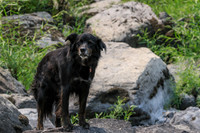 20260806-IMG_9036